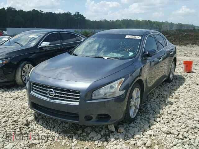 2009 NISSAN MAXIMA - VIN: 1N4AA51E79C804239 - Фото 2