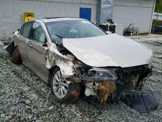 Photo 1HGCR2F87DA246198 - HONDA ACCORD EXL 2013