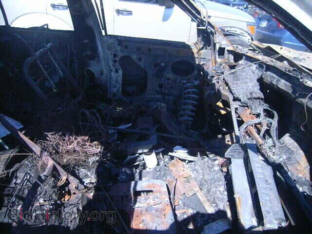 2007 FORD CROWN VIC - VIN: 2FAFP71WX7X155755 - Фото 5