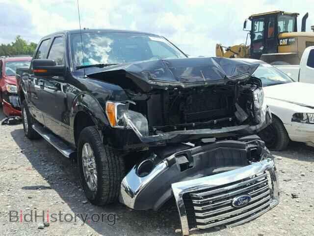 Фотография 1FTFW1EF2CFC75298 - FORD F150 2012