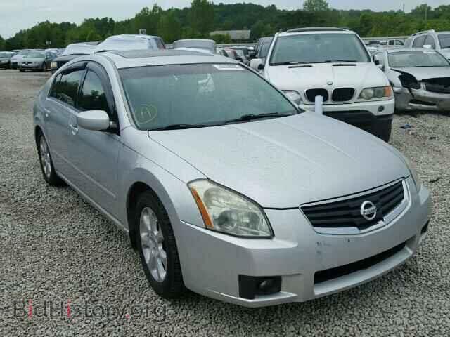 Photo 1N4BA41E58C831274 - NISSAN MAXIMA 2008