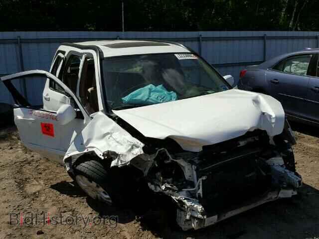Фотография SHSRD78965U335658 - HONDA CRV 2005