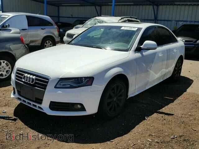 2009 AUDI A4 - VIN: WAUSF78K49A095818 - Фото 2