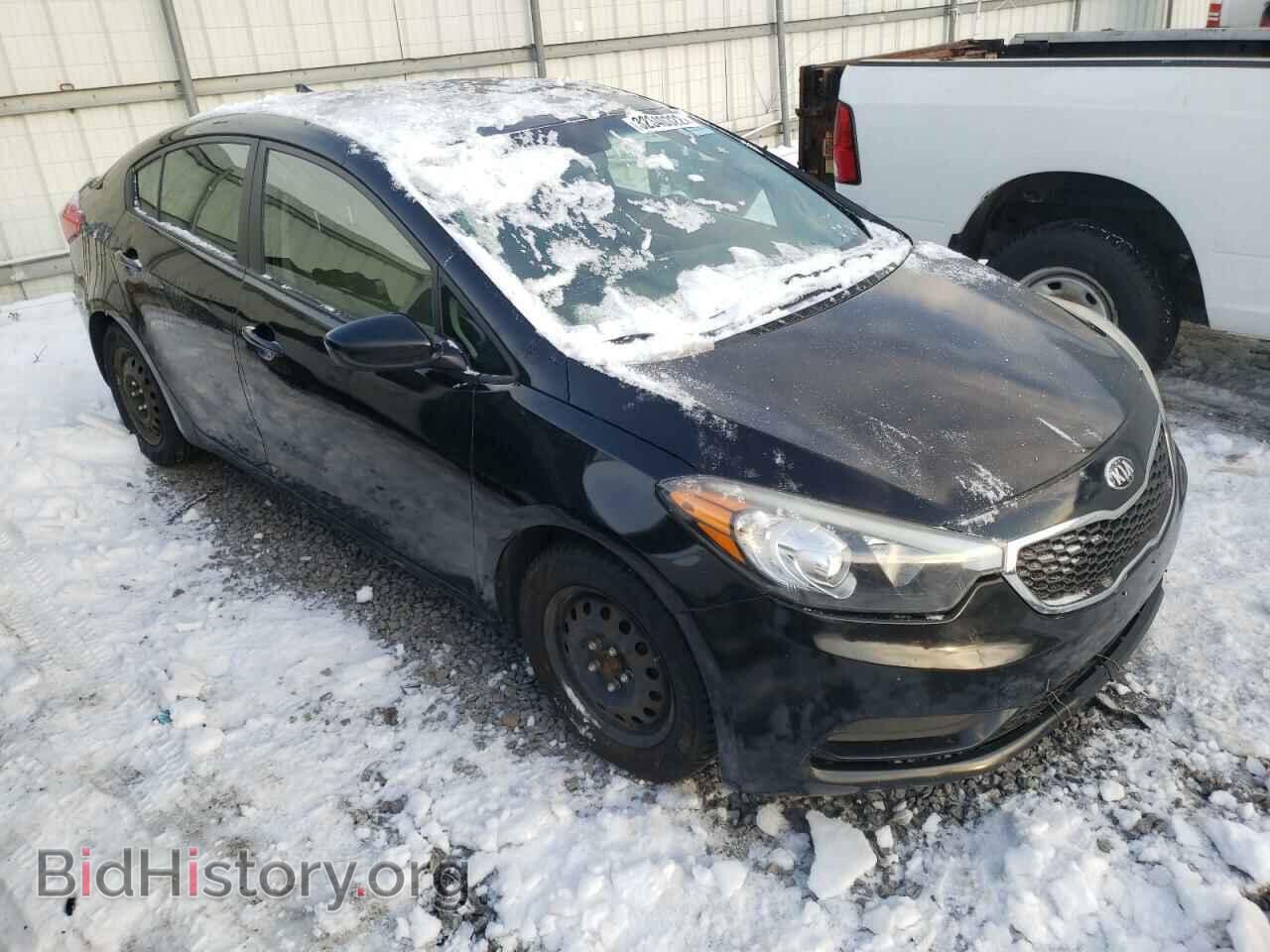 Фотография KNAFK4A66E5138597 - KIA FORTE 2014