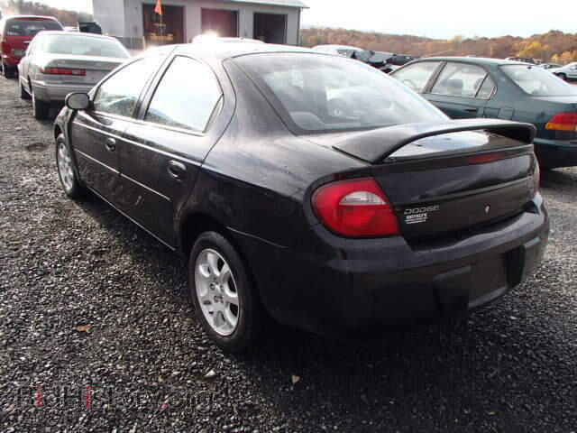 2004 DODGE NEON - VIN: 1B3ES56C64D551032 - Фото 3