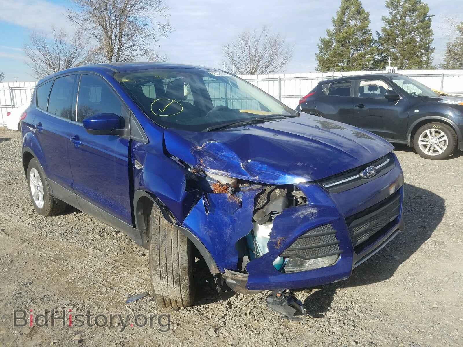 Фотография 1FMCU0GX7EUD03244 - FORD ESCAPE 2014