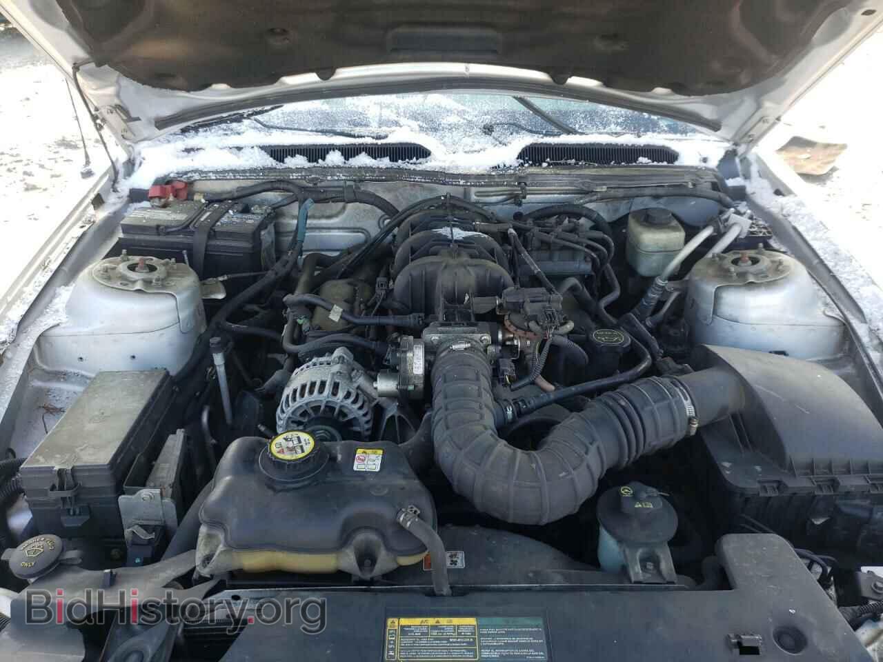 2008 FORD MUSTANG - VIN: 1ZVHT80N285191128 - Фото 7
