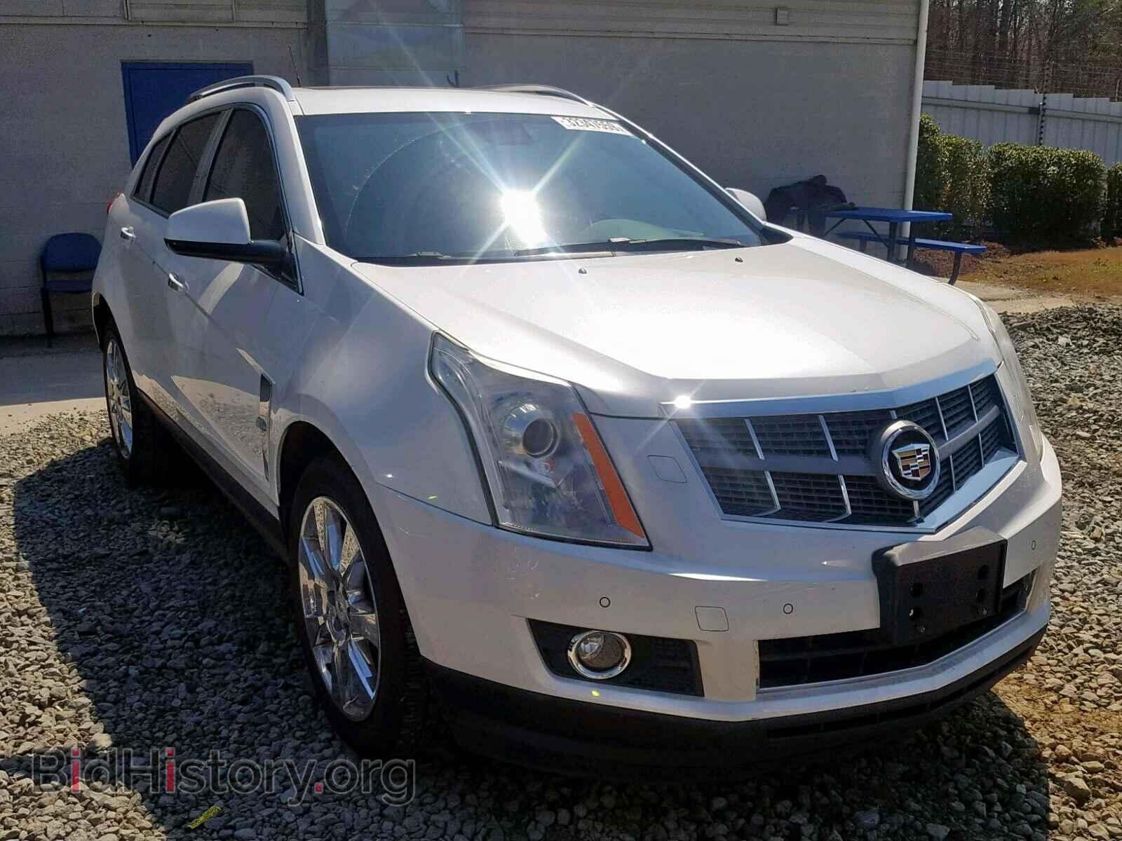 Фотография 3GYFNBEY5BS554422 - CADILLAC SRX PERFOR 2011