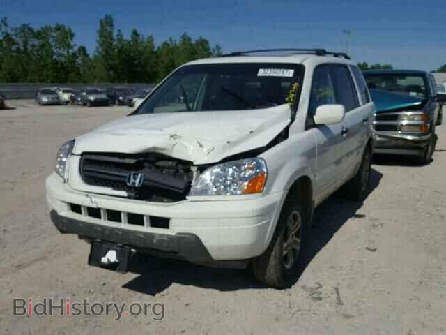 2005 HONDA PILOT - VIN: 5FNYF18575B026823 - Фото 2