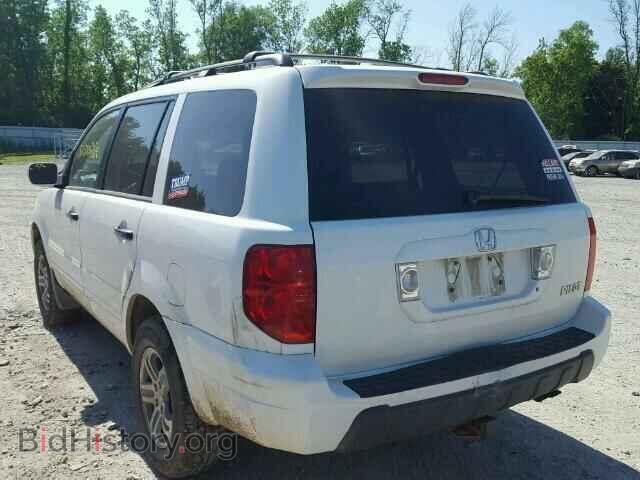 2005 HONDA PILOT - VIN: 5FNYF18575B026823 - Фото 3