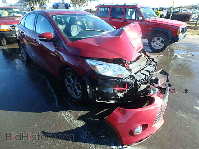 Photo 1FADP3F21DL203318 - FORD FOCUS 2013