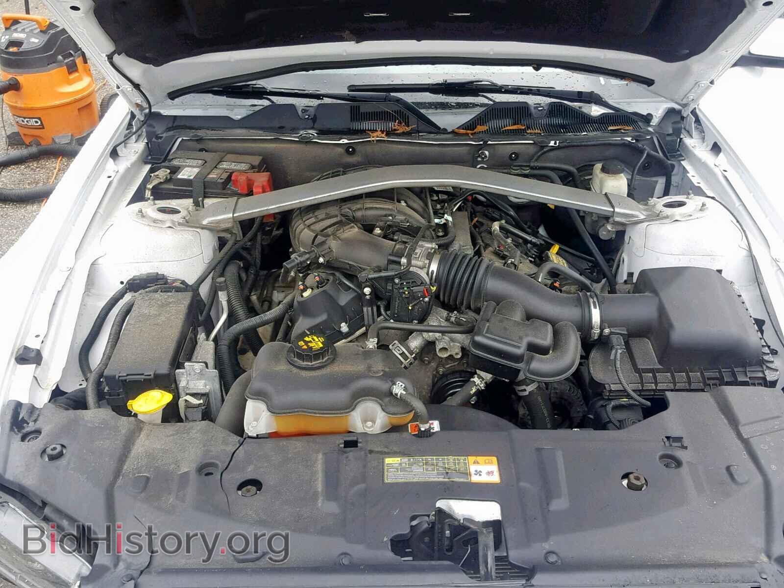 2014 FORD MUSTANG - VIN: 1ZVBP8EM2E5263449 - Фото 7