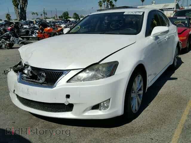 2010 LEXUS IS250 - VIN: JTHBF5C21A5109636 - Фото 2