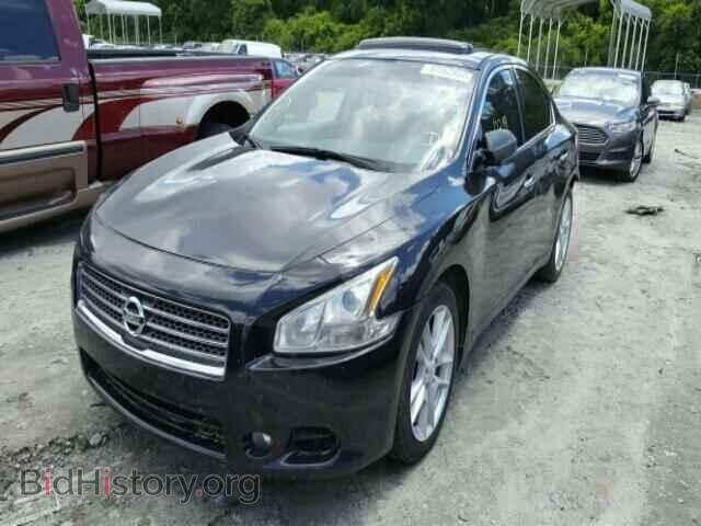 2009 NISSAN MAXIMA - VIN: 1N4AA51E49C851647 - Фото 2