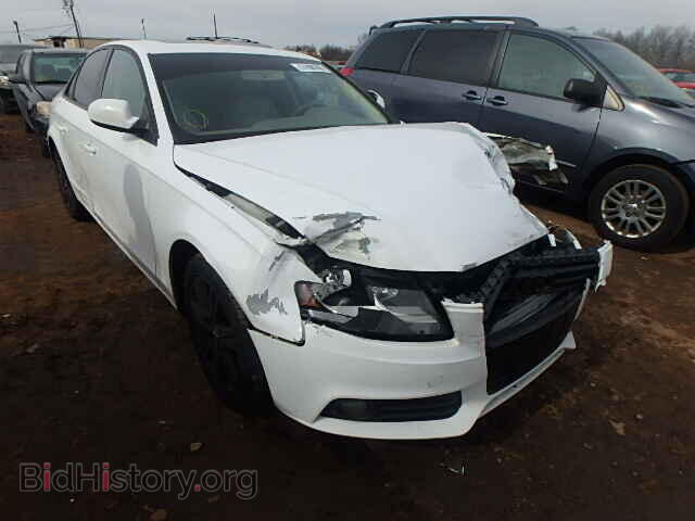 Фотография WAUBFAFL9AN004631 - AUDI A4 2010