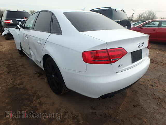 2010 AUDI A4 - VIN: WAUBFAFL9AN004631 - Фото 3