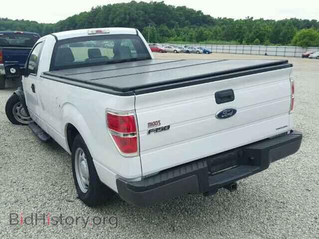 2013 FORD F150 - VIN: 1FTNF1CF0DKF15519 - Фото 3
