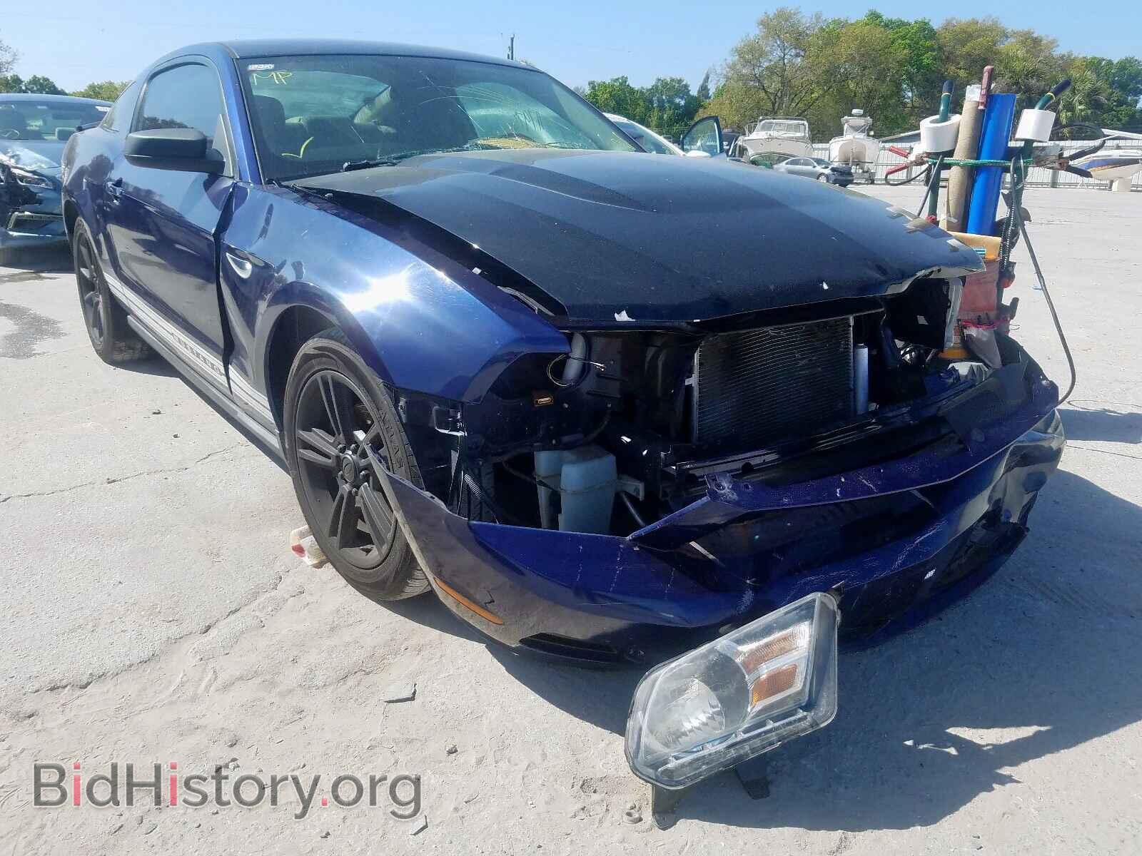 Photo 1ZVBP8AN1A5152688 - FORD MUSTANG 2010
