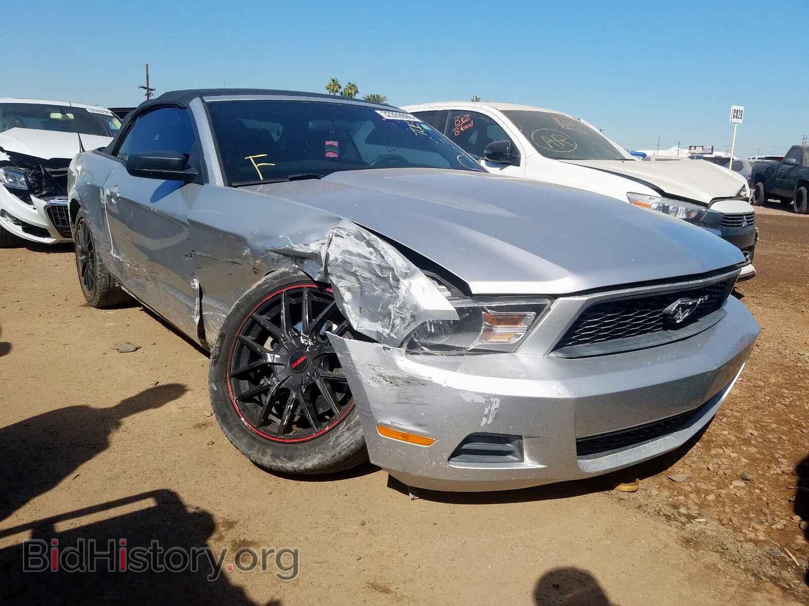 Фотография 1ZVBP8EMXC5225027 - FORD MUSTANG 2012