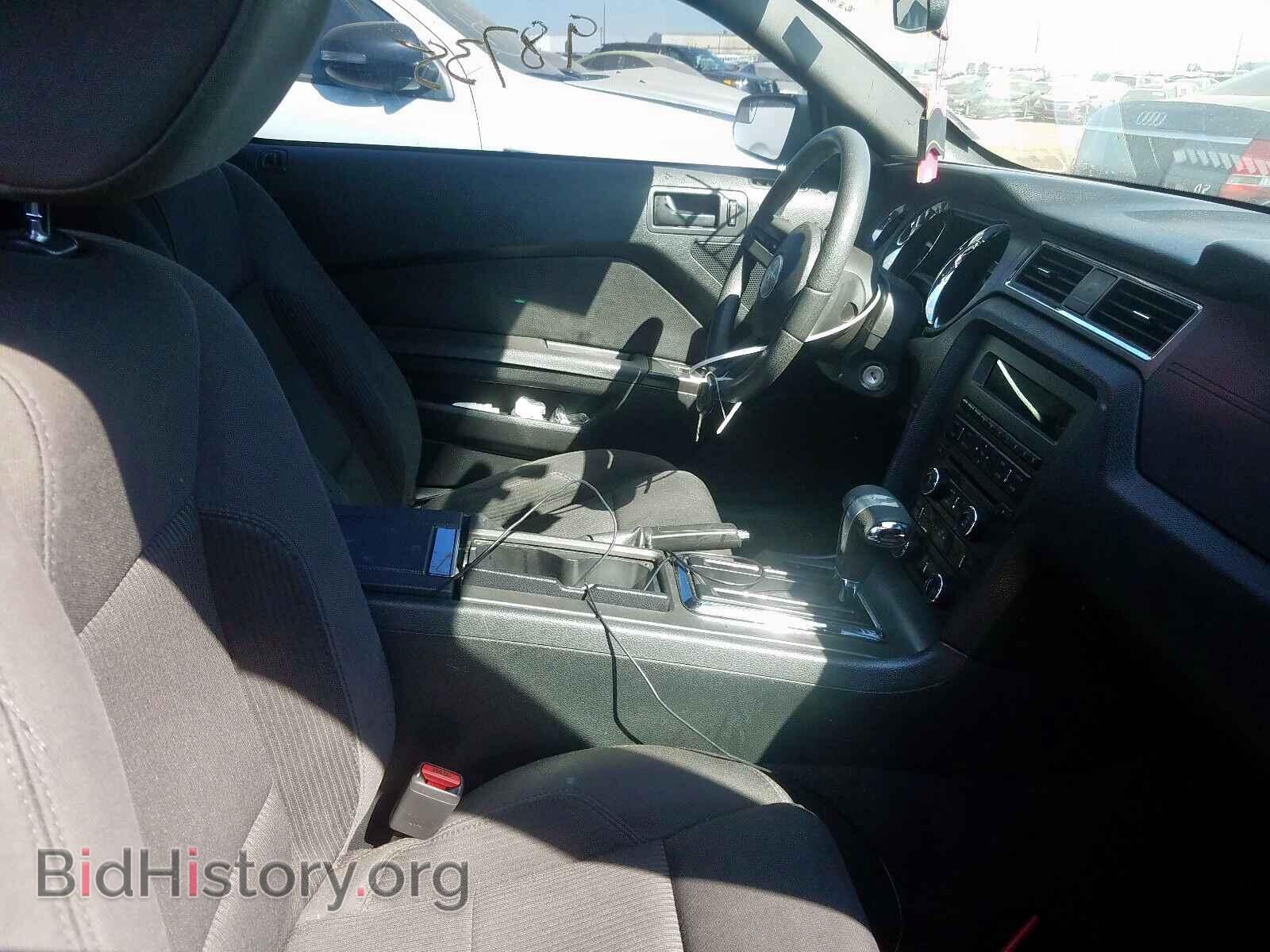 2012 FORD MUSTANG - VIN: 1ZVBP8EMXC5225027 - Фото 5