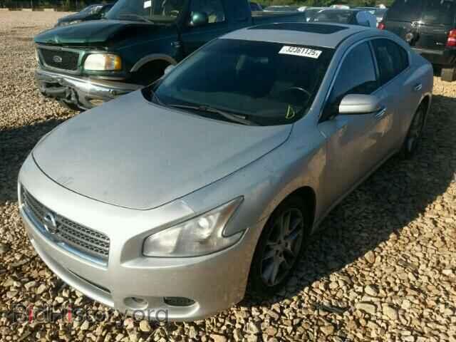 2010 NISSAN MAXIMA - VIN: 1N4AA5AP6AC852935 - Фото 2