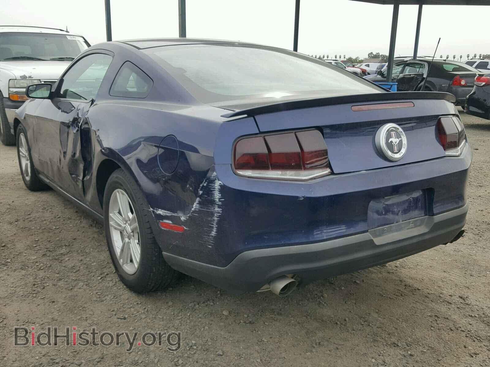 2011 FORD MUSTANG - VIN: 1ZVBP8AM2B5117652 - Фото 3