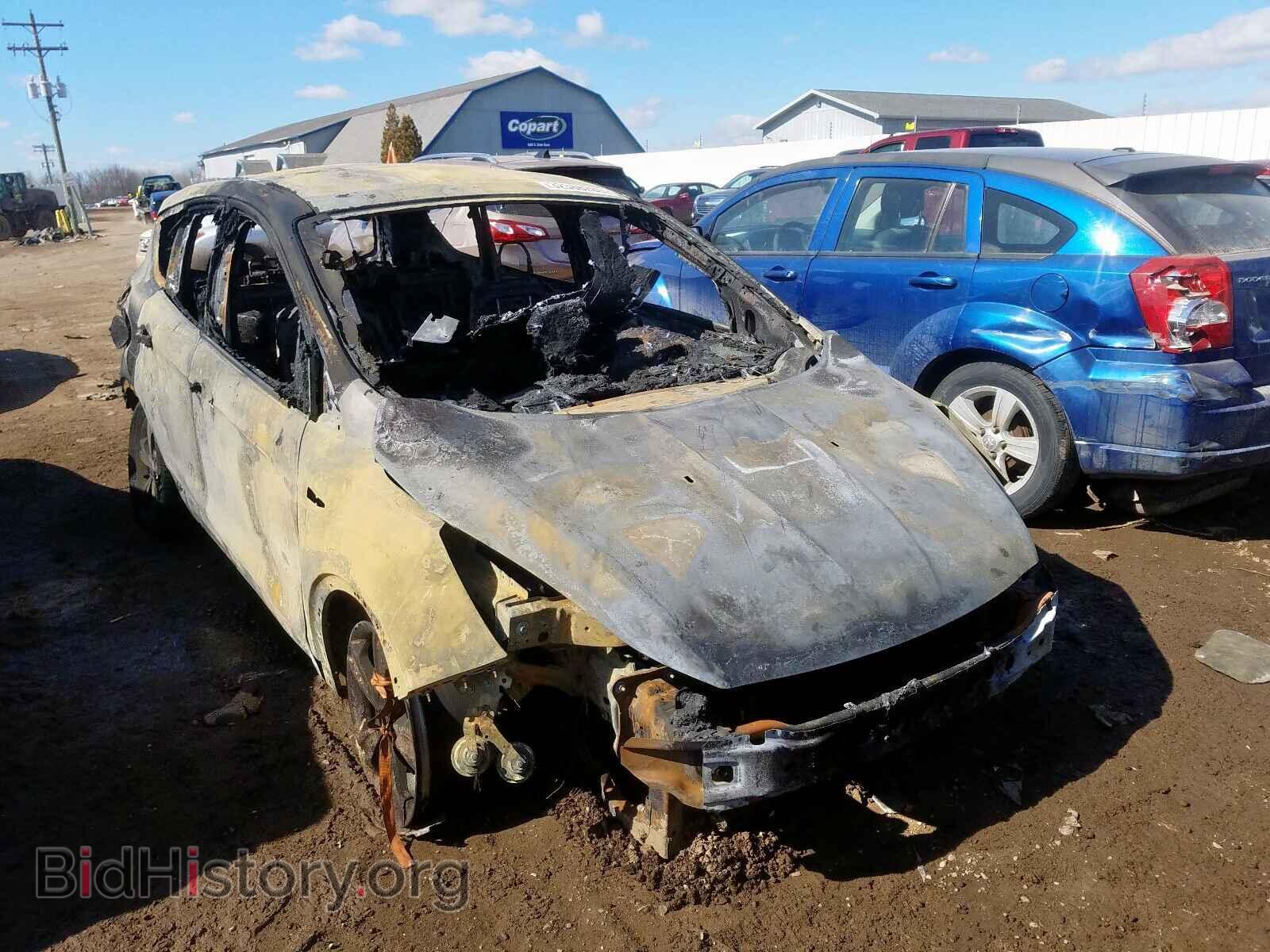 Фотография 1FMCU0GX5EUB59869 - FORD ESCAPE 2014