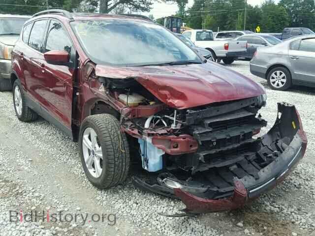 Фотография 1FMCU0GX8EUA66232 - FORD ESCAPE 2014