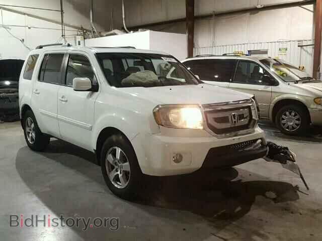 Фотография 5FNYF3H54BB032554 - HONDA PILOT 2011