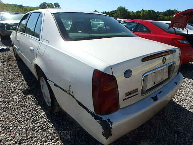 2001 CADILLAC DEVILLE - VIN: 1G6KD54Y11U118680 - Фото 3