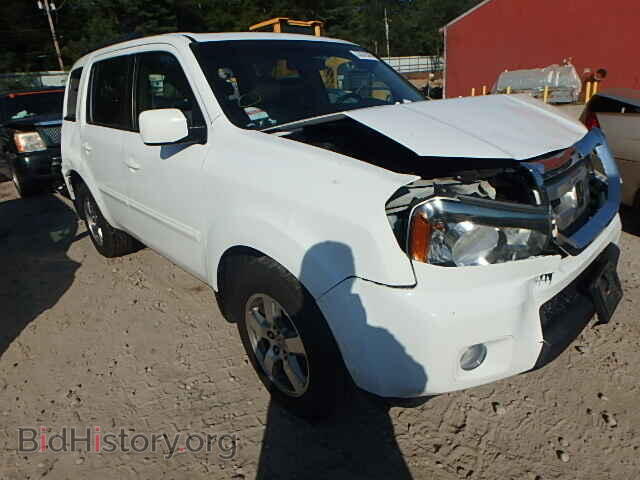 Фотография 5FNYF48549B035258 - HONDA PILOT 2009