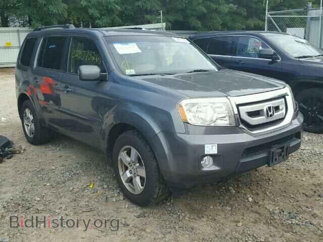 Фотография 5FNYF48409B054817 - HONDA PILOT 2009