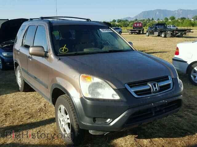 Photo JHLRD78863C038305 - HONDA CRV 2003