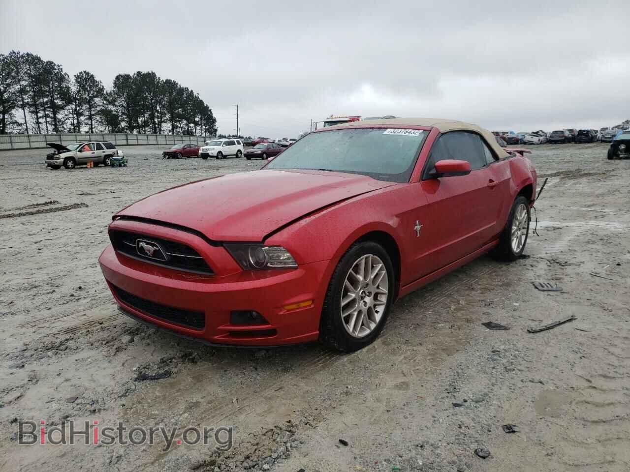 2013 FORD MUSTANG - VIN: 1ZVBP8EM5D5228404 - Фото 2