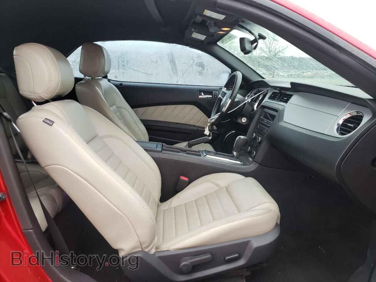 2013 FORD MUSTANG - VIN: 1ZVBP8EM5D5228404 - Фото 5