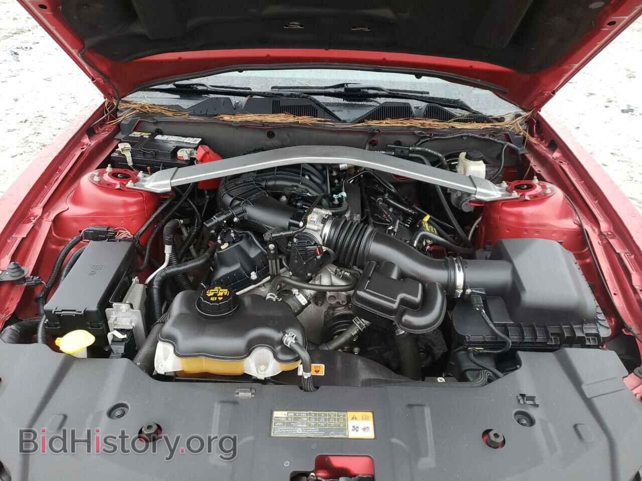 2013 FORD MUSTANG - VIN: 1ZVBP8EM5D5228404 - Фото 7