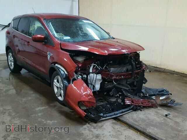Фотография 1FMCU0GX3EUD80970 - FORD ESCAPE 2014