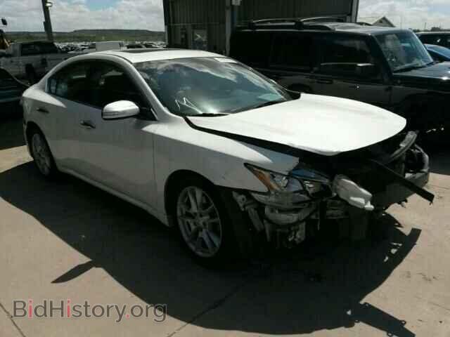 Photo 1N4AA5AP3AC810853 - NISSAN MAXIMA 2010