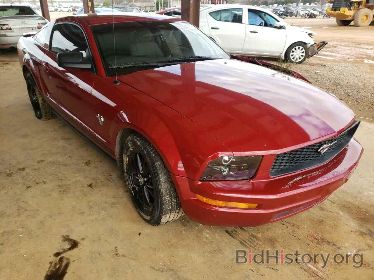 Photo 1ZVHT80N695119219 - FORD MUSTANG 2009