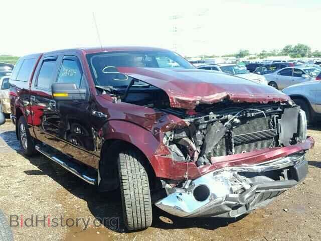 Фотография 1FTEW1C82AFA48027 - FORD F150 2010