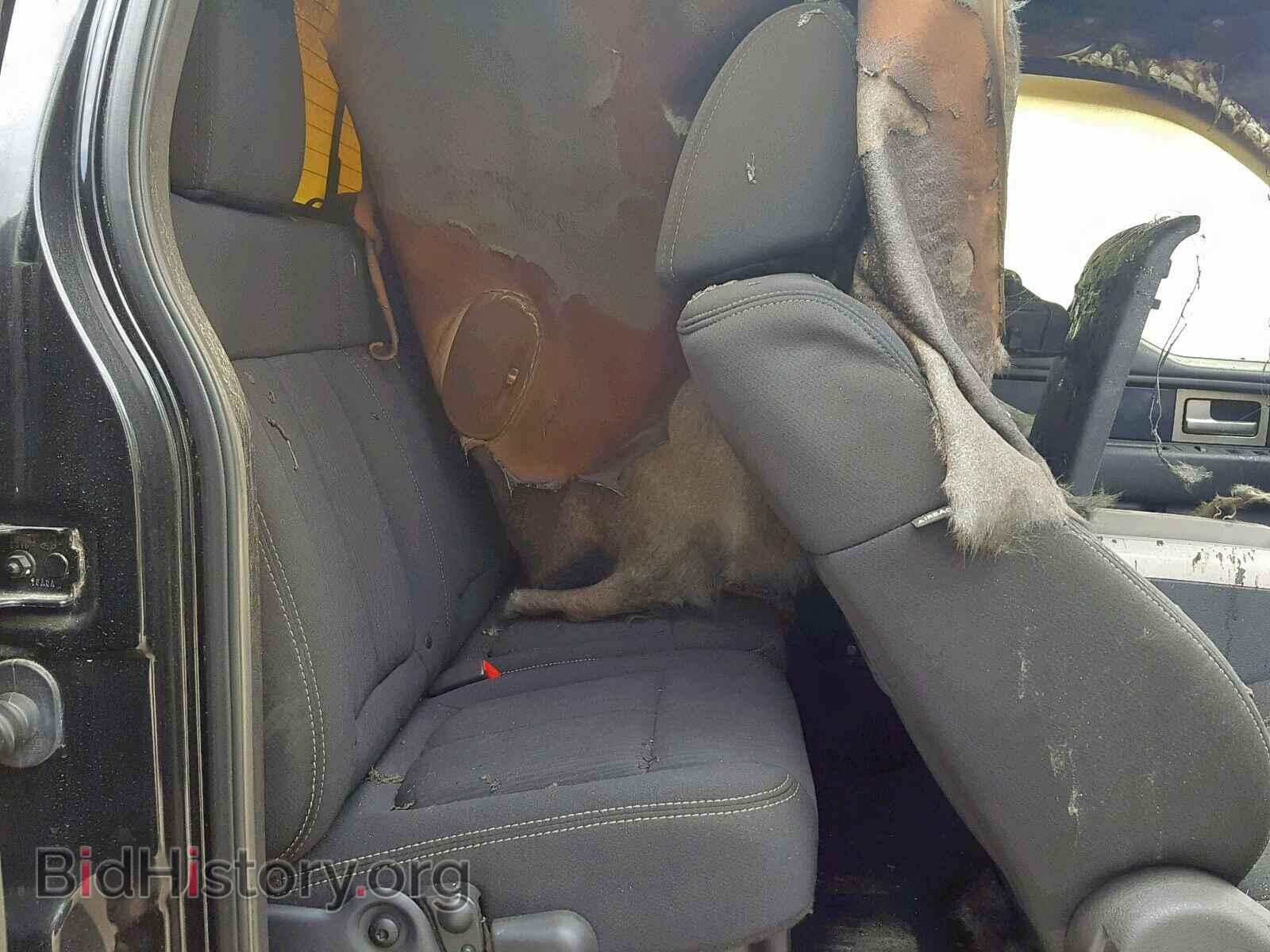 2010 FORD F150 SUPER - VIN: 1FTEX1C83AKC53473 - Фото 6