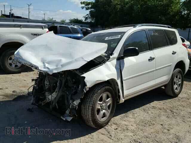 2011 TOYOTA RAV4 - VIN: 2T3BF4DV0BW101459 - Фото 2
