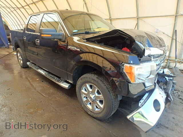 Фотография 1FTFW1CF4DKD12783 - FORD F150 2013