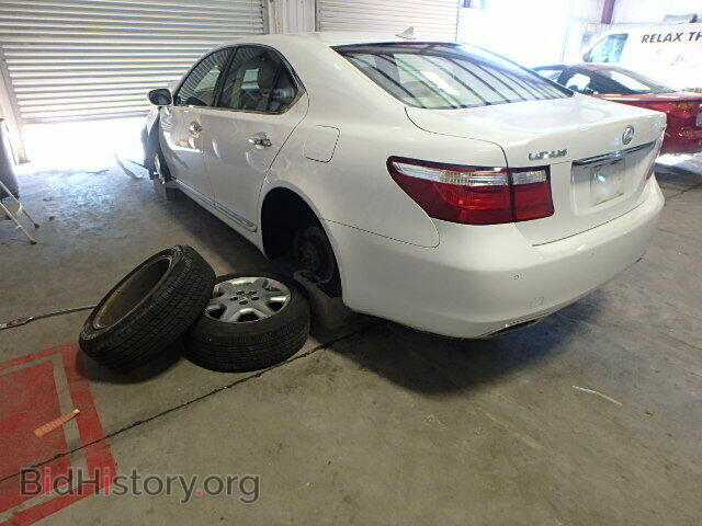 2009 LEXUS LS460 - VIN: JTHBL46F895086983 - Фото 3