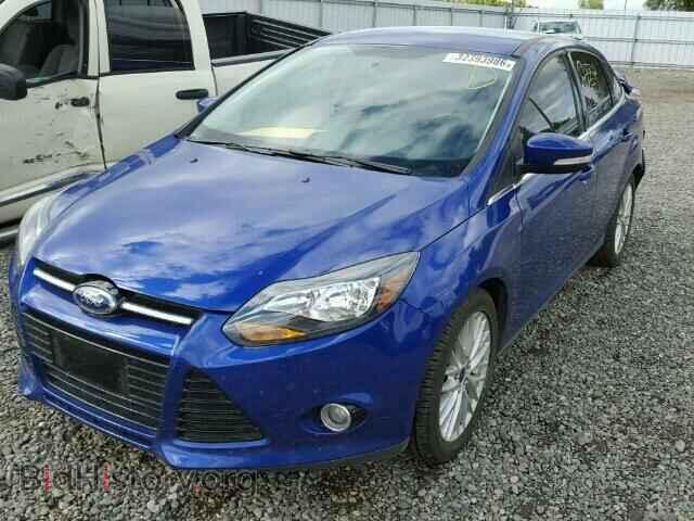 2013 FORD FOCUS - VIN: 1FADP3J26DL335059 - Фото 2