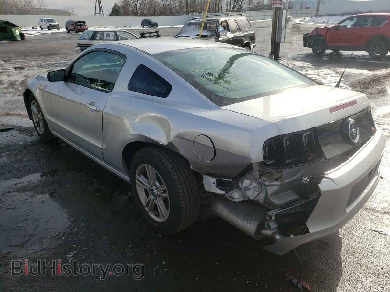 2014 FORD MUSTANG - VIN: 1ZVBP8AM5E5318062 - Фото 3