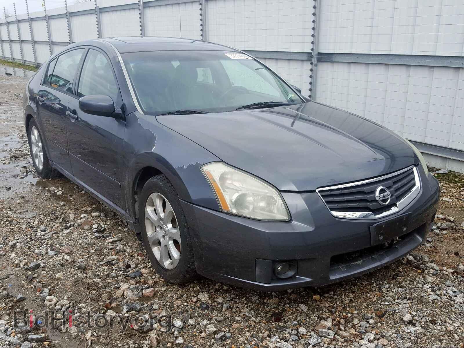 Photo 1N4BA41E68C837939 - NISSAN MAXIMA 2008