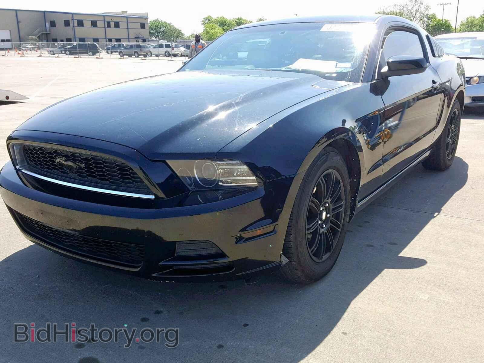 2013 FORD MUSTANG - VIN: 1ZVBP8AM2D5230147 - Фото 2