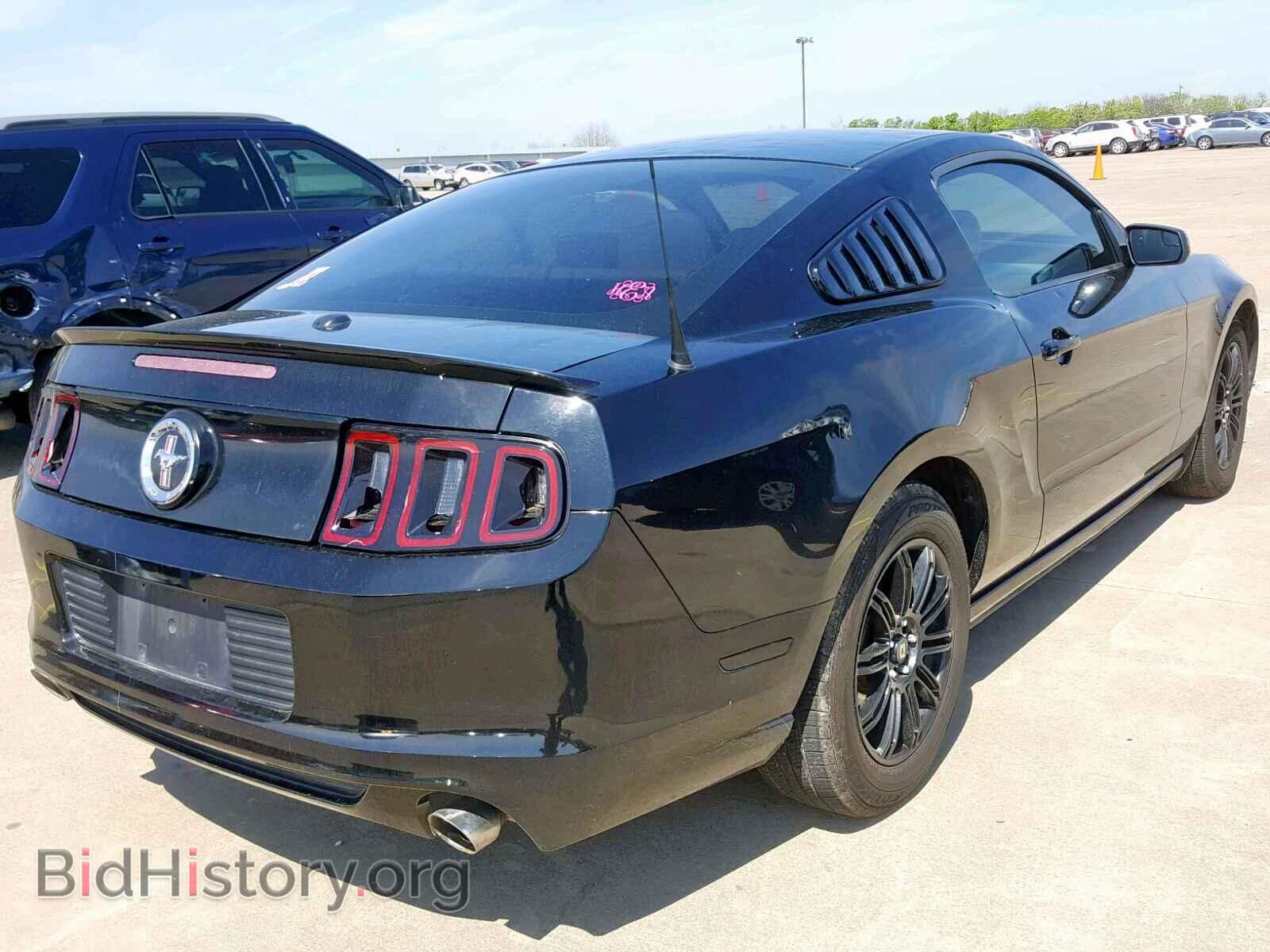 2013 FORD MUSTANG - VIN: 1ZVBP8AM2D5230147 - Фото 4