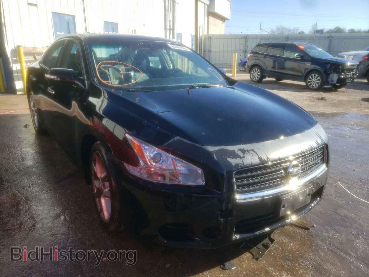 Фотография 1N4AA5AP0BC853595 - NISSAN MAXIMA 2011